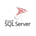 SQL Server logo